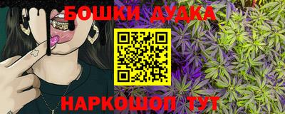 индика Чапаевск