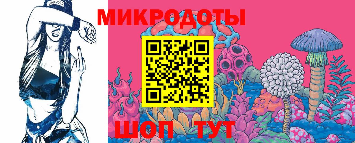 Галлюциногенные грибы GOLDEN TEACHER  Вход с VPN  наркота  Галлюциногенные грибы Psilocybe  Шали 